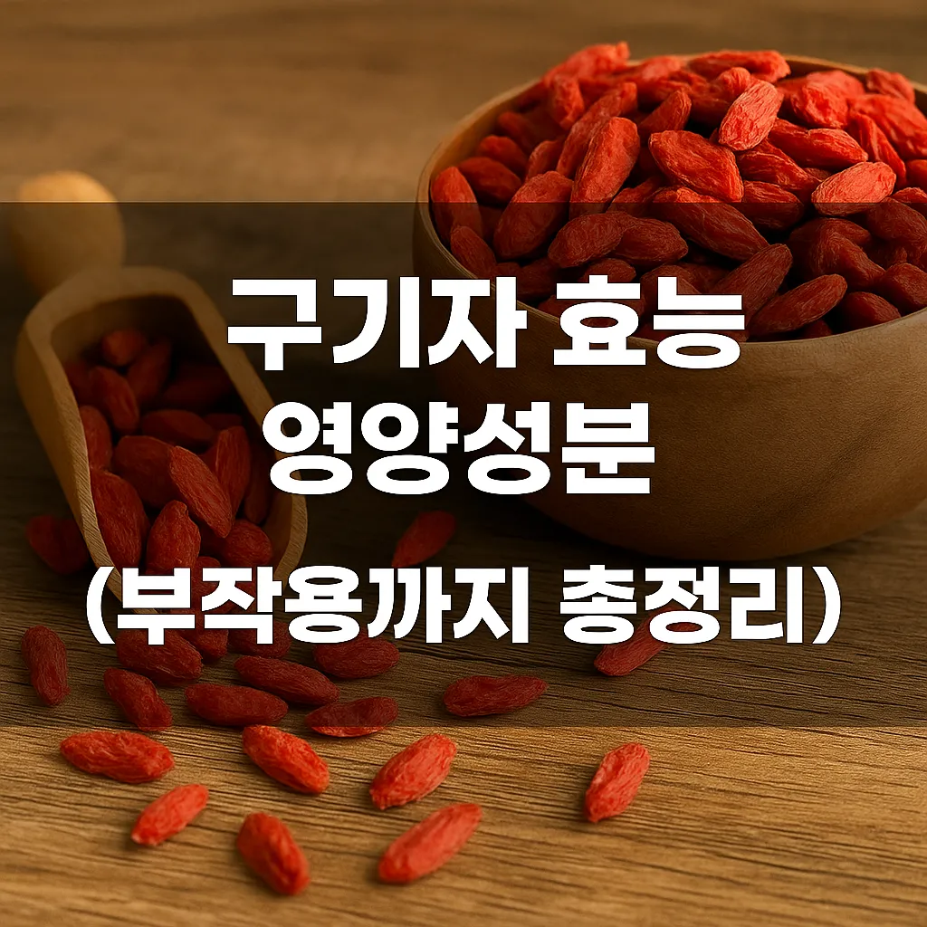 구기자 효능 영양성분 제대로 알고 먹자! (부작용까지 총정리) - 구기자 효능