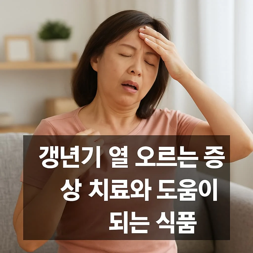 갱년기 열 오르는 증상 치료와 도움이 되는 식품 총정리