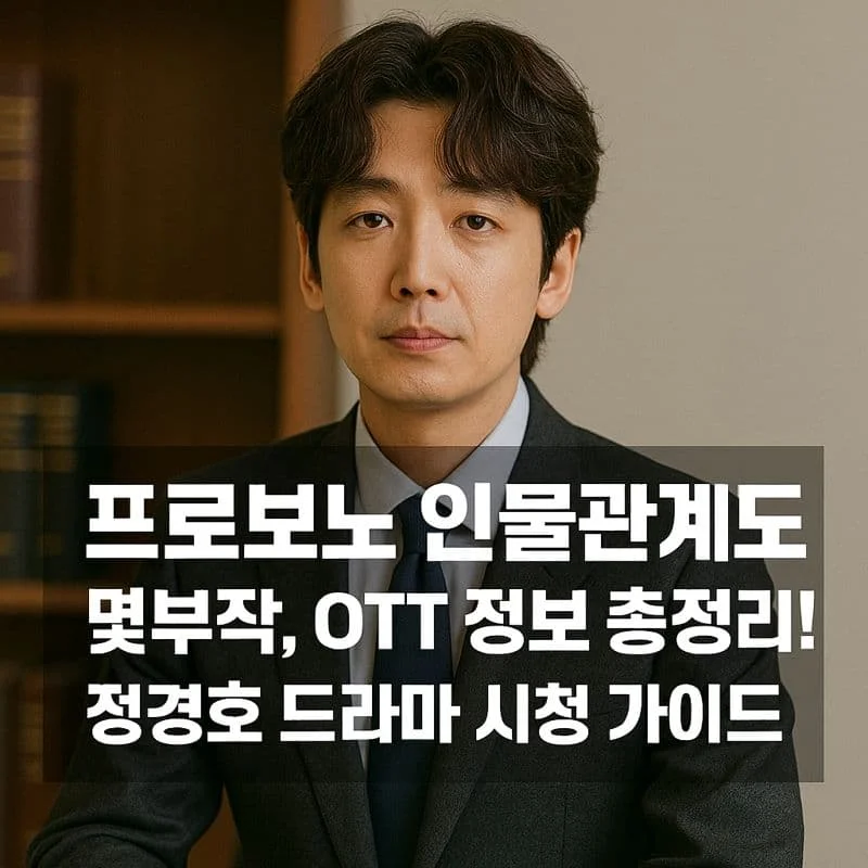 프로보노 인물관계도, 몇부작, OTT 정보 총정리! 정경호 드라마 시청 가이드