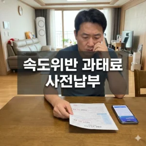 속도위반 과태료 사전납부로 50% 감경받는 2026년 완벽 가이드