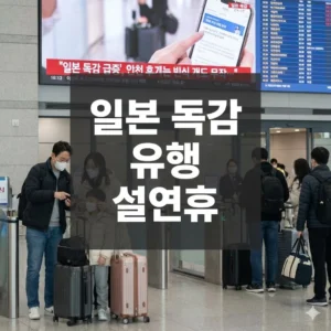 일본 독감 유행 설연휴 안전 여행을 위한 필독 가이드