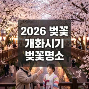 2026 벚꽃 개화시기 벚꽃명소까지, 완벽한 봄나들이 가이드!