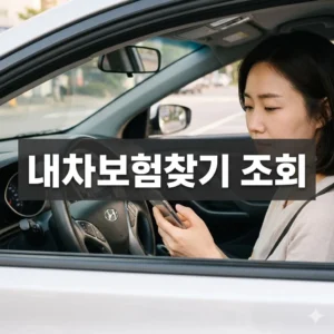 내차보험찾기 조회 보험이력 보험료 비교까지, 스마트 가이드